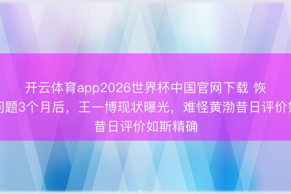 开云体育app2026世界杯中国官网下载 恢复成婚问题3个月后，王一博现状曝光，难怪黄渤昔日评价如斯精确